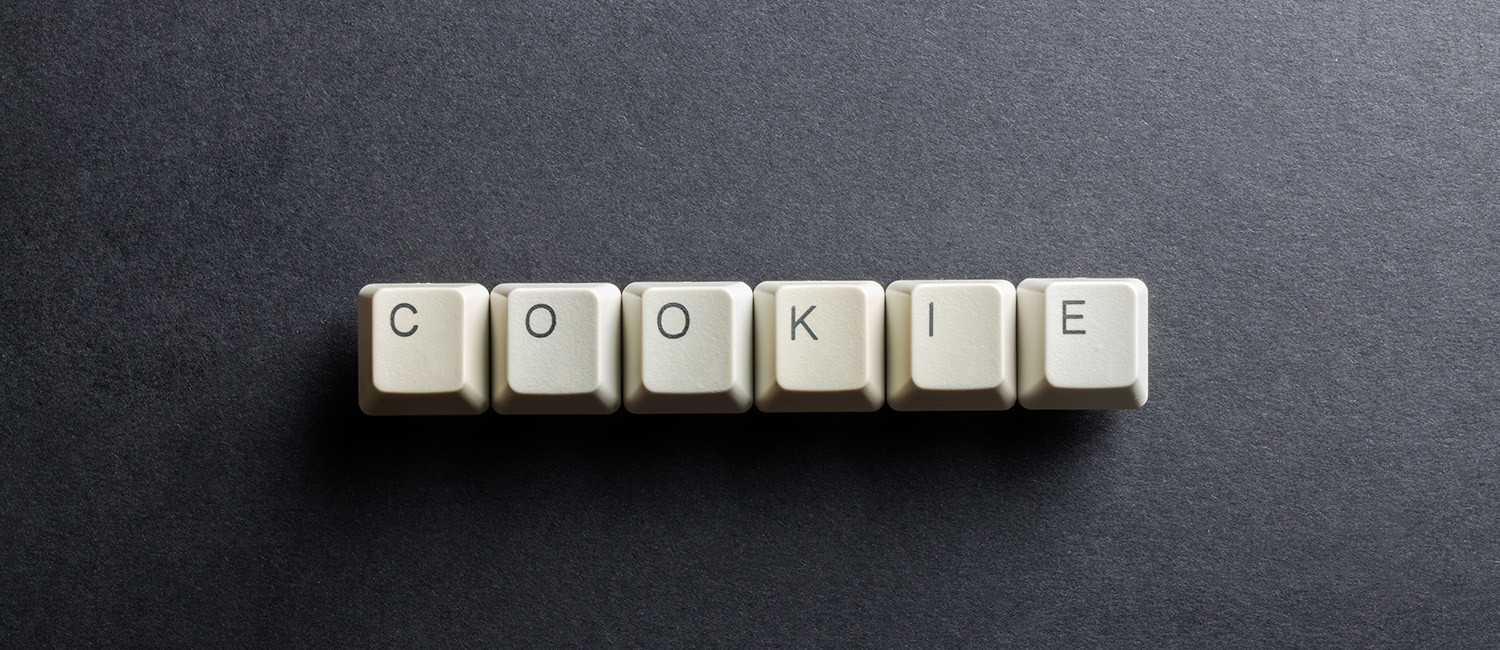 Website Cookie Policy For Hotel Iris