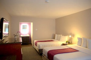 Standard Room, 2 Queen Beds
